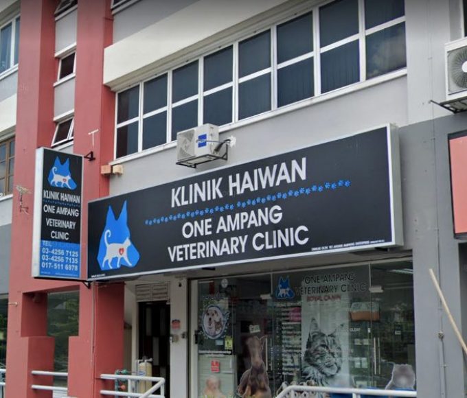 One Ampang Veterinary Clinic (Ampang, Selangor)